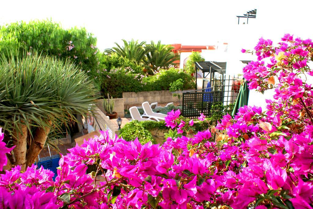 Apartamento Casa San Miguel San Miguel de Abona Exterior foto